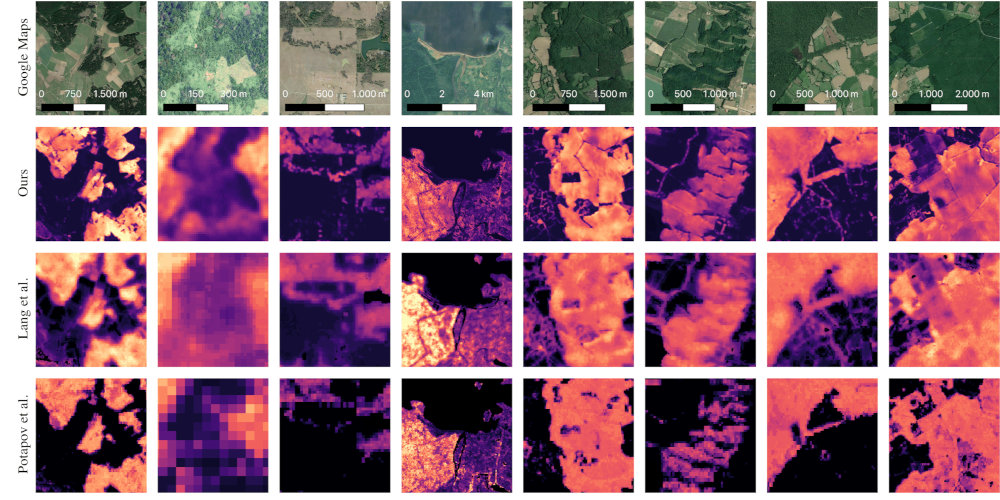 Canopy Height Maps