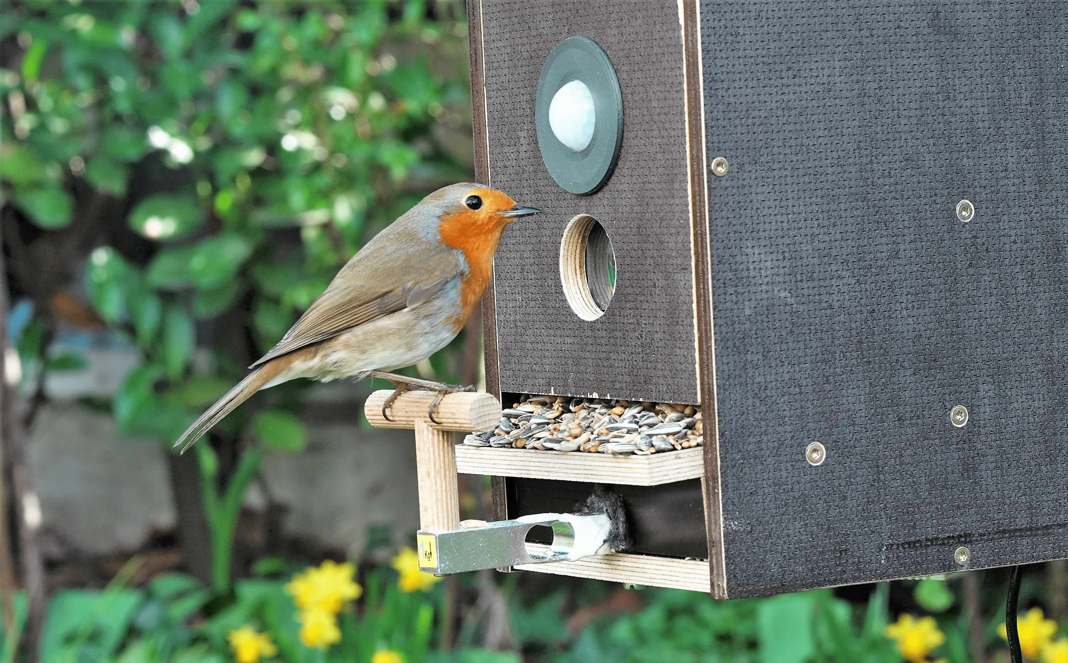 Birdiary