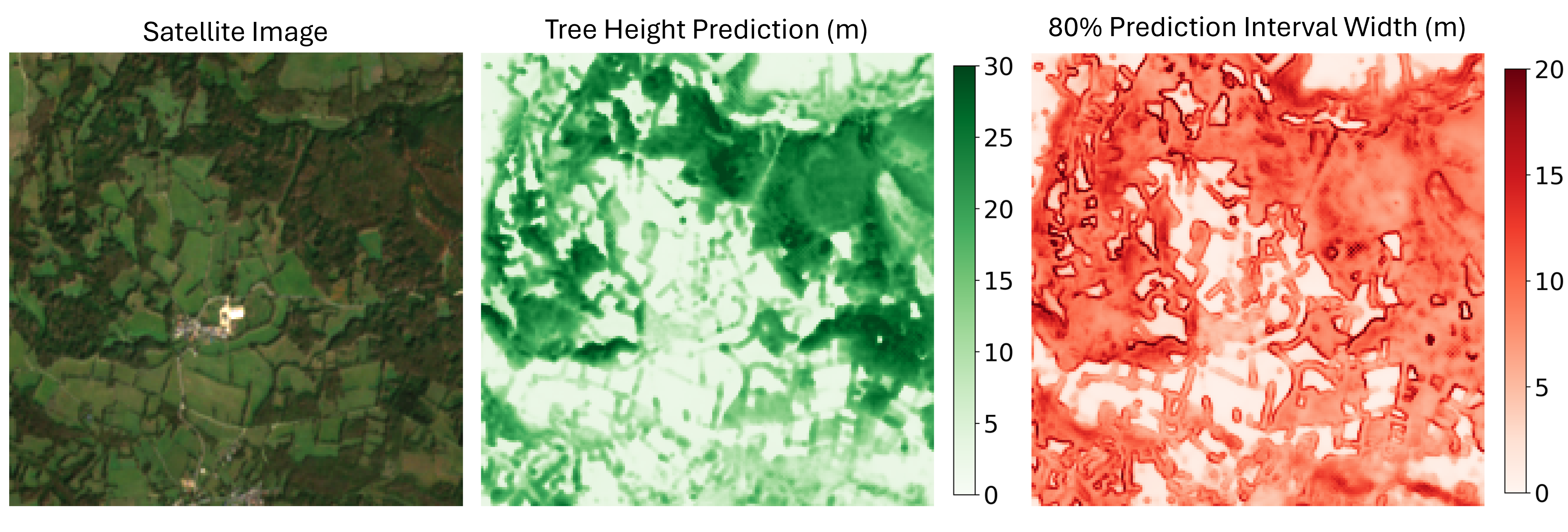2026_uncertainty_tree_height.png
