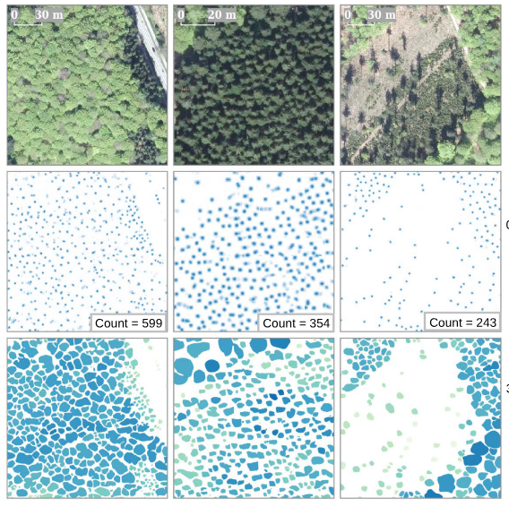 deep_learning_ensembles_trees.png