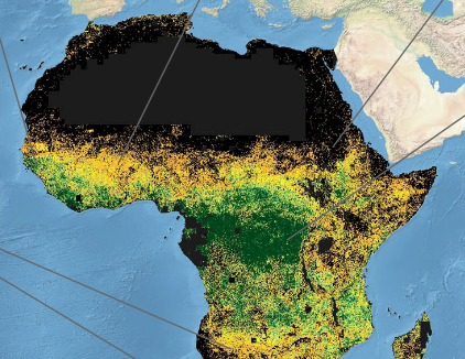 trees_africa.png